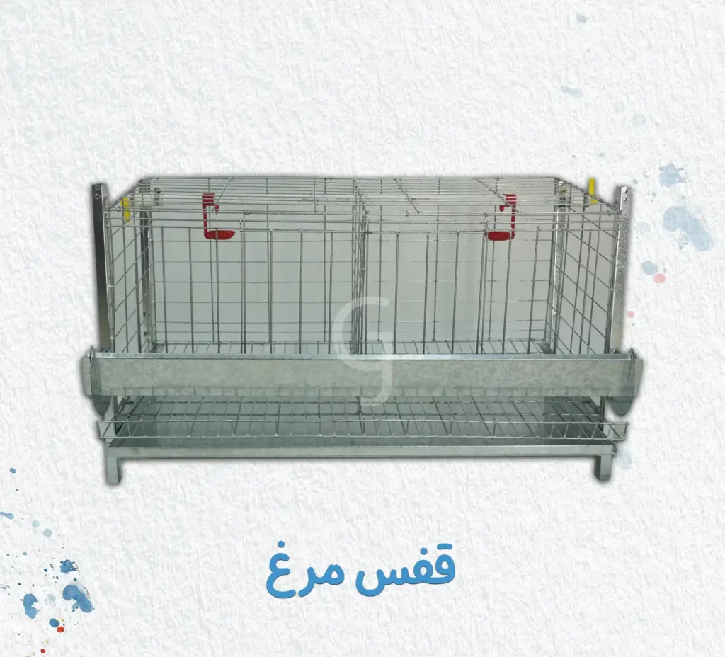 قفس مرغ