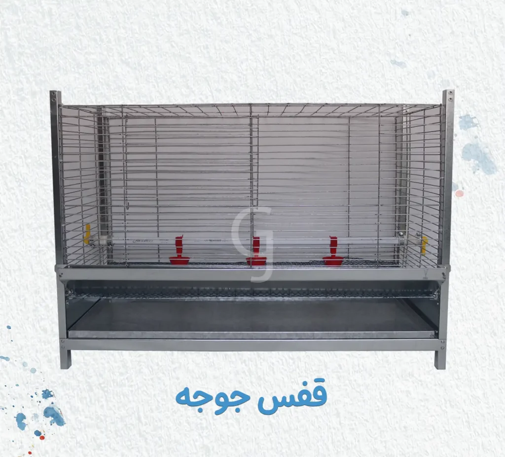 قفس جوجه