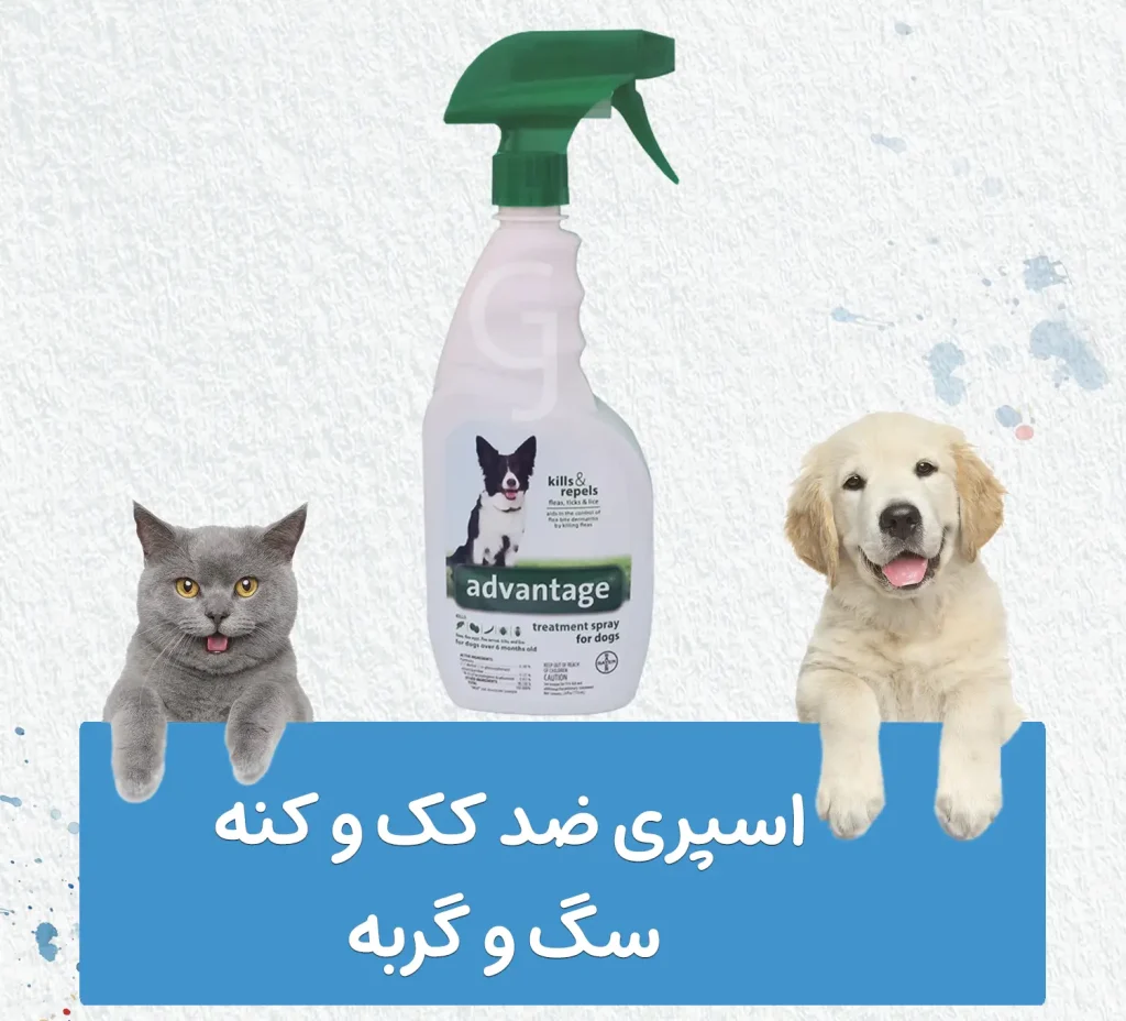 ضد کنه سگ