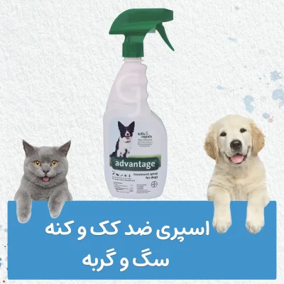 ضد کنه سگ